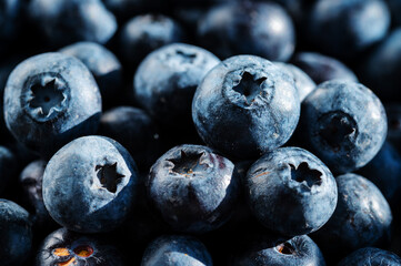 Blueberries macro, fresh berry fruits. 