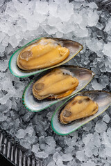 frozen seafood in a fish shop
