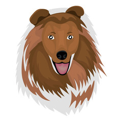 Head of funny dog on white background