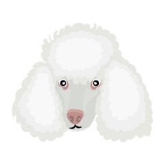 Head of funny poodle dog on white background