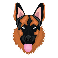 Head of German shepherd dog on white background