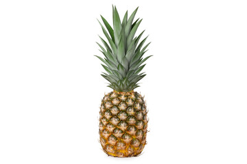 Fresh juicy tasty pineapple whole isolated.