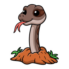 Cute rattlesnake cartoon out from hole