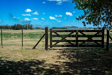 Fototapeta na wymiar Wooden gate in a field of the Argentine pampas