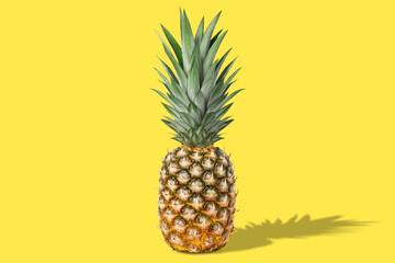 Fresh juicy tasty whole pineapple. On a yellow background.