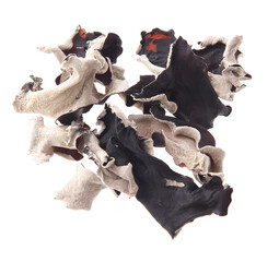 キクラゲ　乾燥