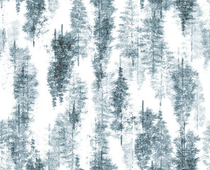 In the winter wonderland, illustration with blue fir trees forest isolated on white background,Vector graphic tree, pain, isolated