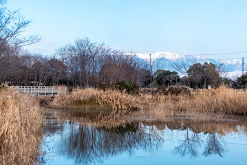 冬の公園の朝　滋賀県守山市びわこ地球市民の森