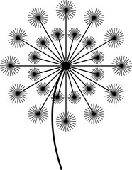 dandelions png graphic clipart design