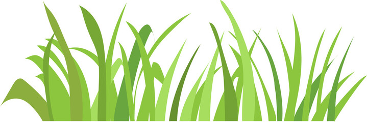 Grass png graphic clipart design