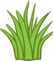 Grass png graphic clipart design
