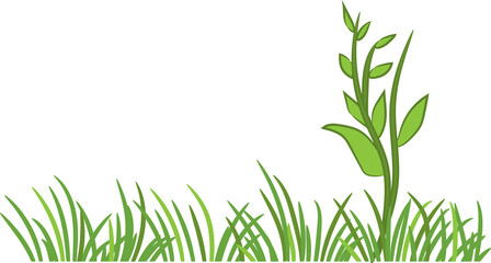 Grass png graphic clipart design