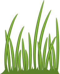 Grass png graphic clipart design