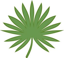 leaf png graphic clipart design