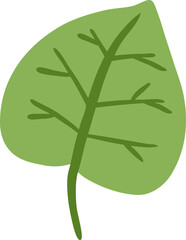 leaf png graphic clipart design