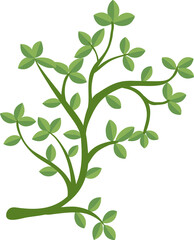 leaf png graphic clipart design