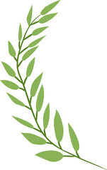 leaf png graphic clipart design