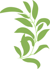 leaf png graphic clipart design