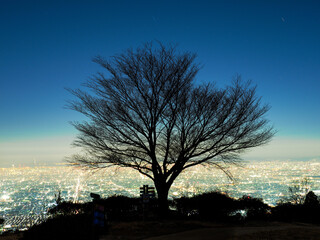 大阪の夜景の輝きと一本桜
