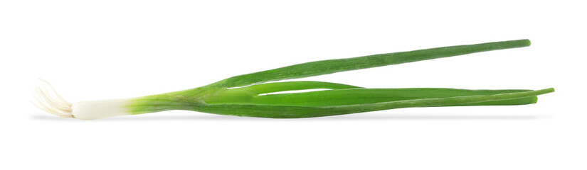 Fresh green spring onion isolated on white