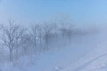 Obraz premium 川霧