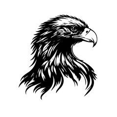 eagle head isolated on white