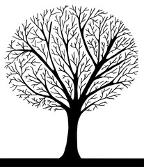 Baum ohne Blätter