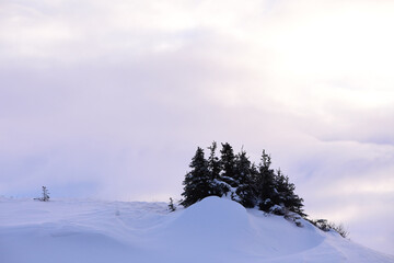 winter landscape with snow and trees