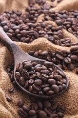 A coffee bean is a seed of the Coffea plant and the source for coffee. It is the pip inside the red...