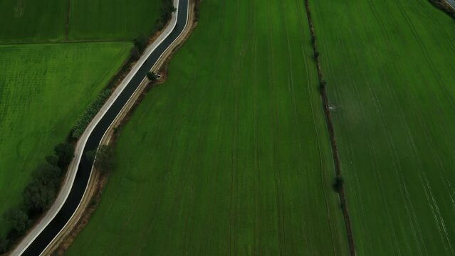 Agriculture Green Field Aerial in Portugal 4K