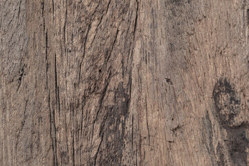 Old plank wood texture background