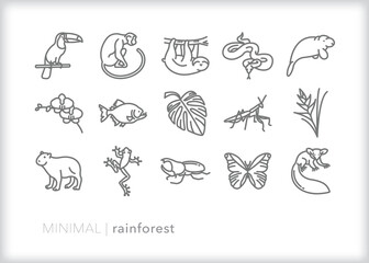 Set of rain forest line icons of animals, plants and insects found in humid tropical climates