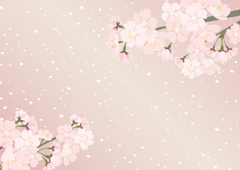 Naklejka premium 桜のイラストフレーム