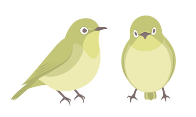 メジロのイラスト