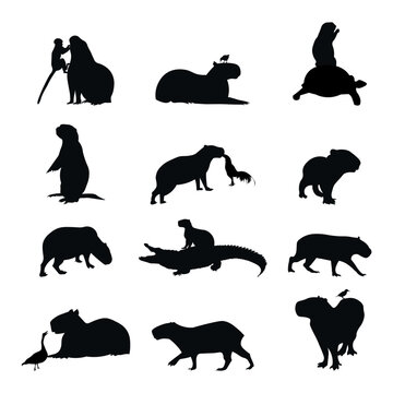 Bundle set of silhouettes of capybara friendship with other animals