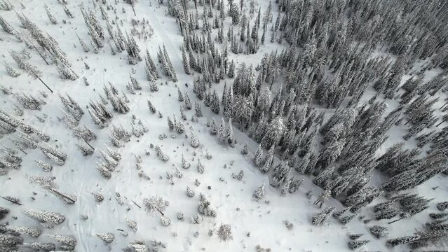 Aerial view of winter landscape atop alpine forest mountain top