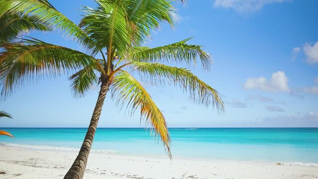 Coconut palm on the sea beach of Thailand. Landscape of paradise coast on tropical island in blue sea. Turquoise wave on white sand. View of exotic beach and blue sky. Tropical natural landscape.