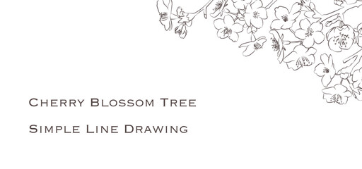 シンプルな桜の花の線画ベクターイラスト　白背景