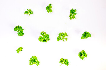 Fresh Parsley Herb Isolated on White Background.