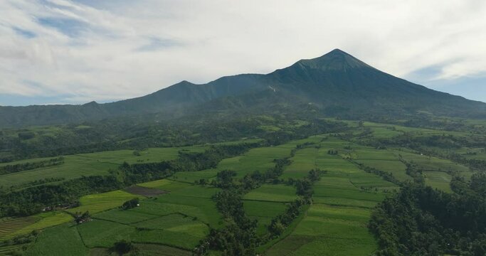 Agricultural plantations and farmland at the foot of the Canlaon volcano. Negros, Philippines