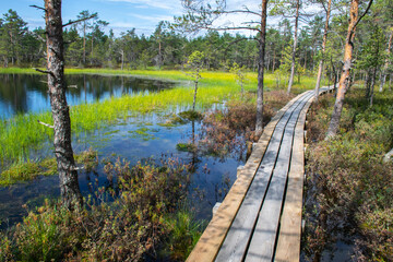 Boardwalk through the Viru Bog in Lahemaa National Park in Estonia