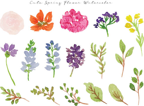 a set of colorful spring wild flower and leaf watercolor
