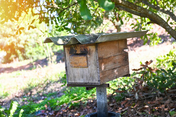 bee house beehive in the garden, wooden honeycomb in the tropical orchard under the tree