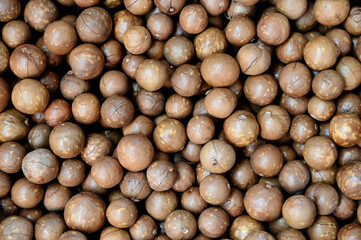 macadamia nuts texture background, fresh natural shelled raw macadamia nuts in a full frame, close up pile of roasted macadamia nut