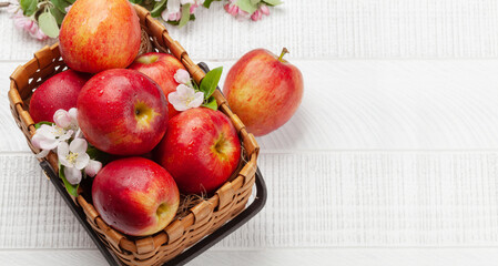 Ripe red apples and apple blossom flowers in basket