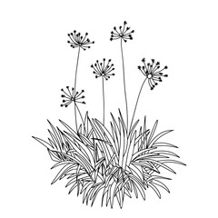 Outline abstract flowers. Vector illustration.