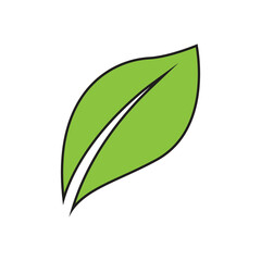 Green leaf illustration nature logo and symbol design
