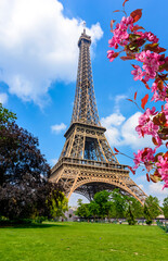 Fototapeta na wymiar Eiffel Tower and Field of Mars in spring, Paris, France