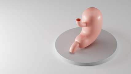 Isometric 3d illustration of stylized human stomach on gray pedestal. Inspired by flat design trends