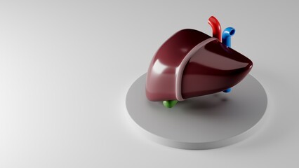 Isometric 3d illustration of stylized human liver with gall bladder on gray pedestal. Inspired by flat design trends